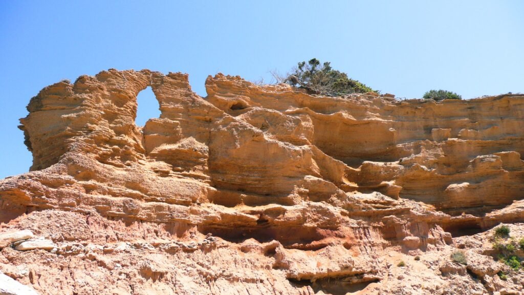 Sardegna 56